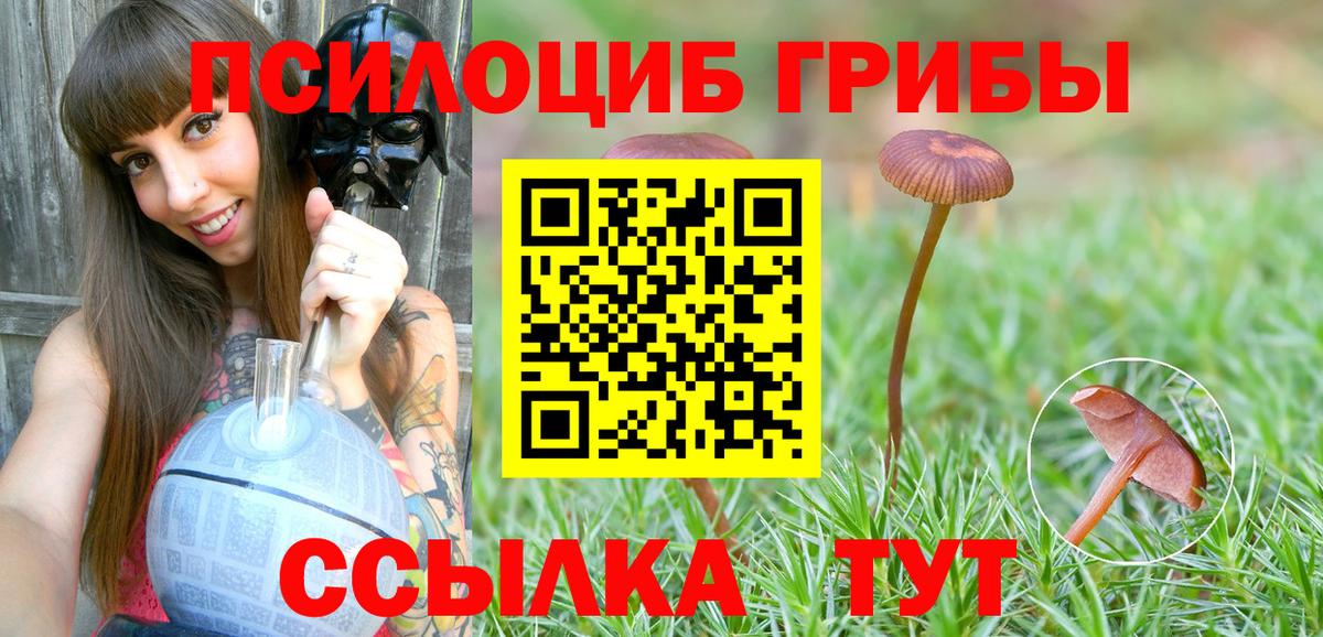 Псилоцибиновые грибы мицелий Клинцы